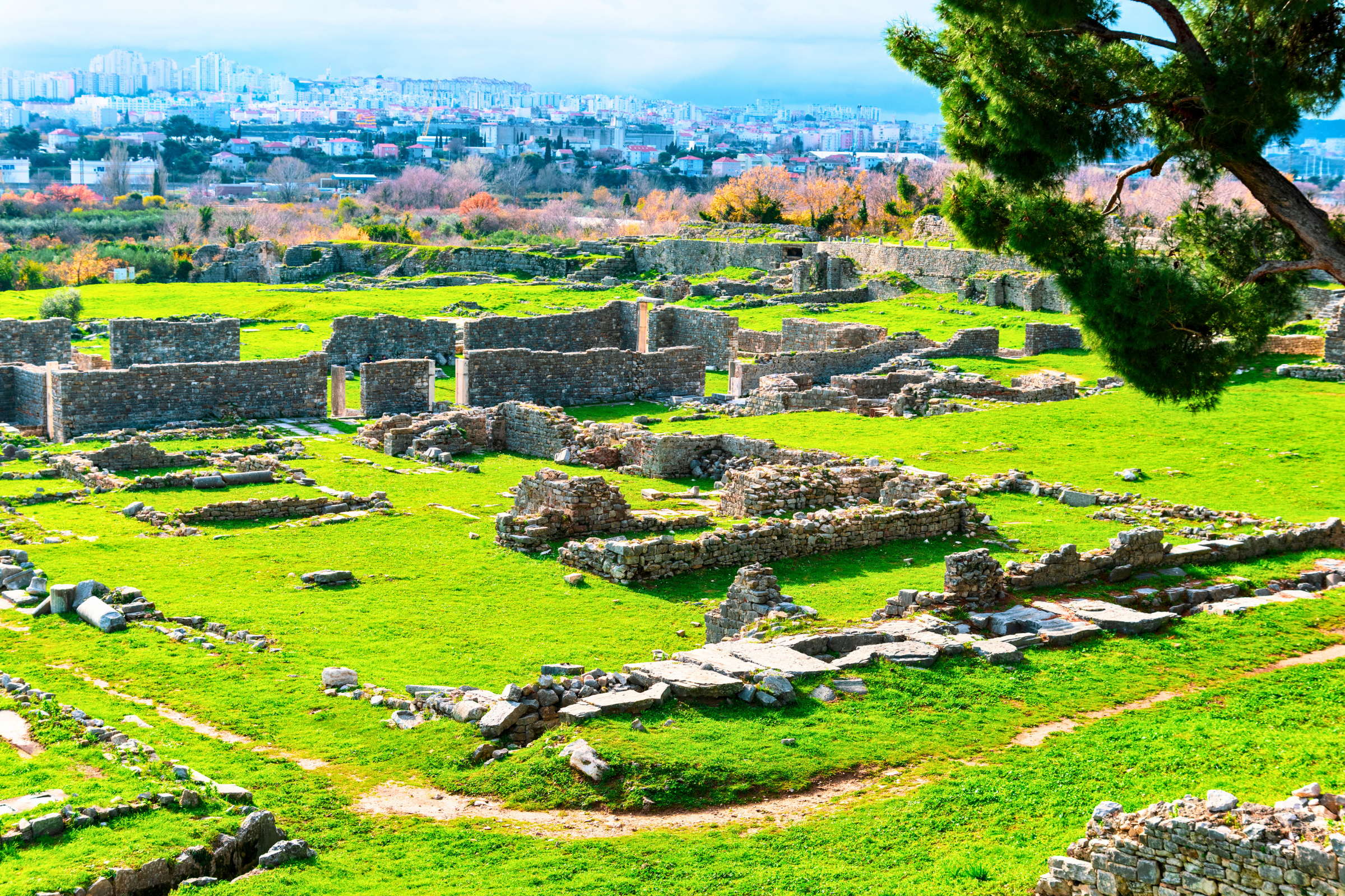 solin (2).webp